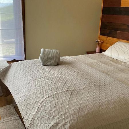 Cabanas Las Terrazas De Iculpe Población Población Lago Ranco Exteriér fotografie